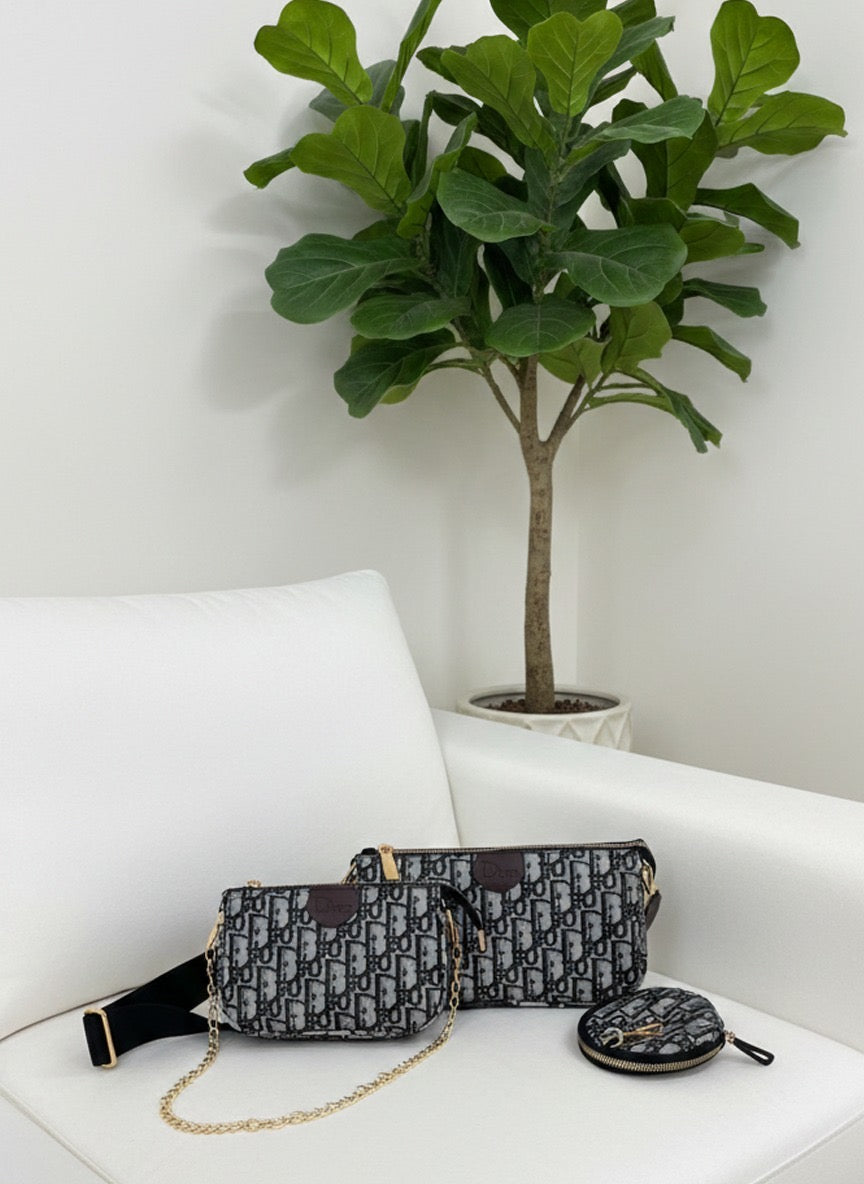 حقيبة Dior   3 قطع